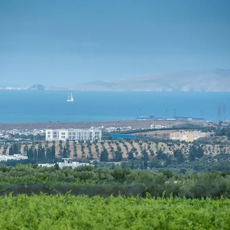 Cretan Vineyard Hill 2 *